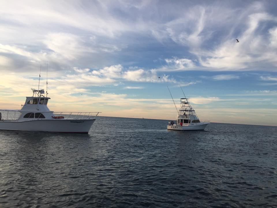 Two Fishing Charters at See