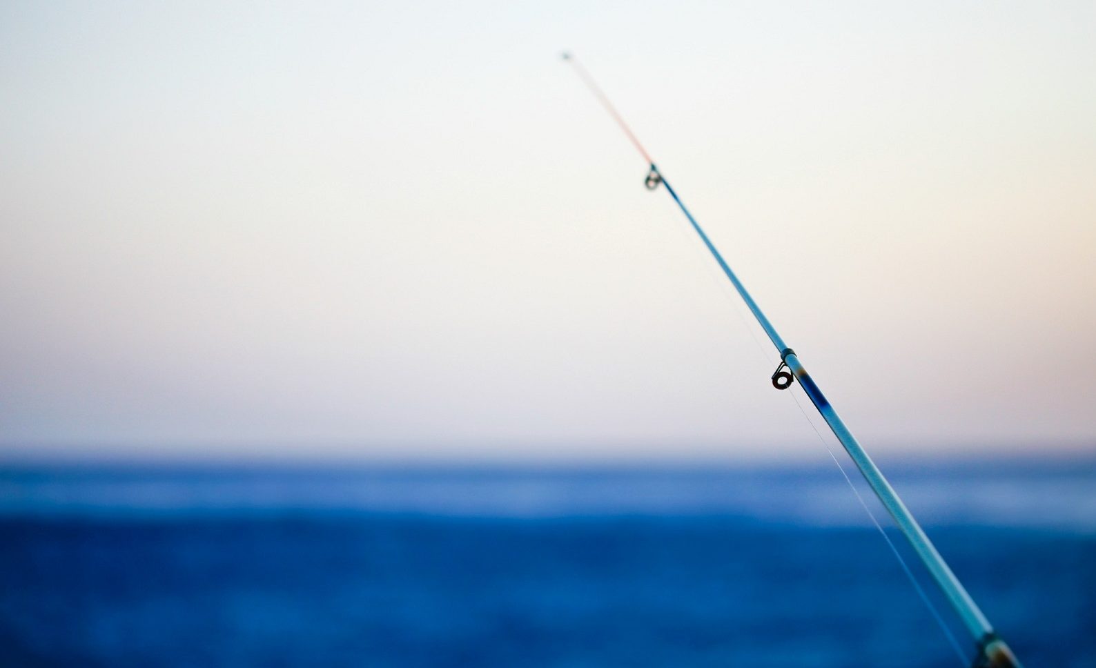 Fishing Charters on 30A