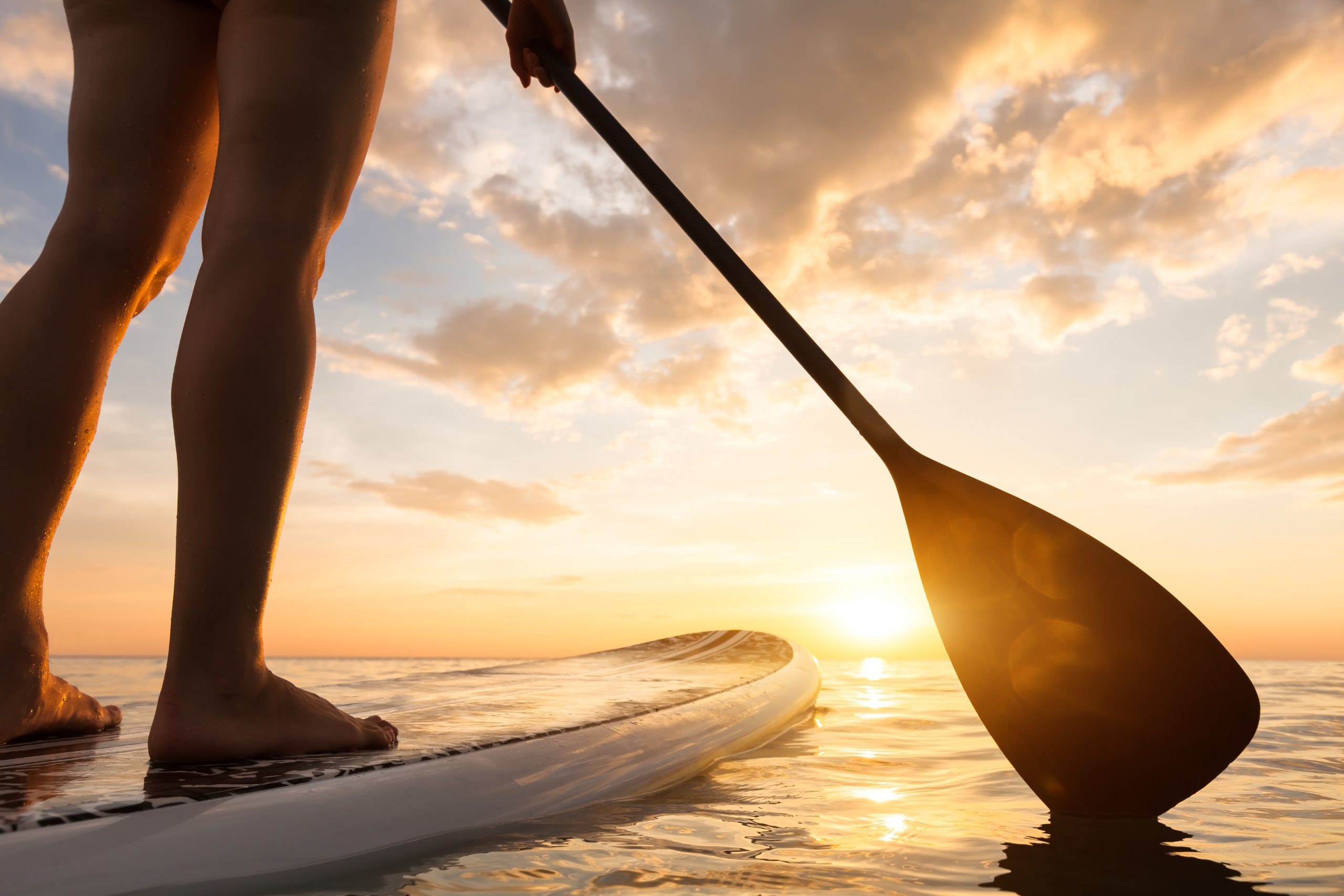 30A Paddleboard Rentals