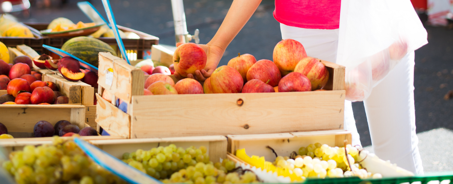 You’ll Want to Know About These 2 Farmers’ Markets in Destin