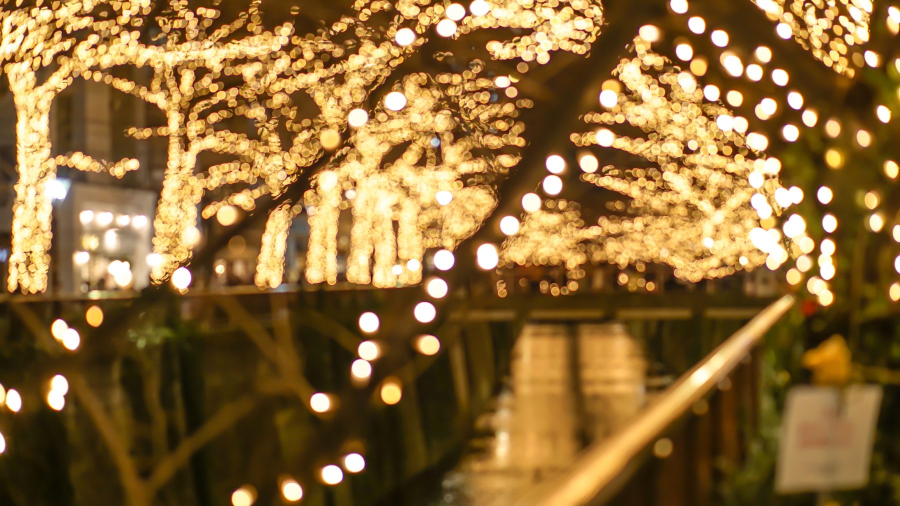 Your Guide to the Magic of the Sparkling Wine & Holiday Lights Festival